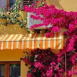 In The Heart Of Tuscany Appartamento